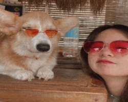 The actress is accompanied by a cute dog in her home.